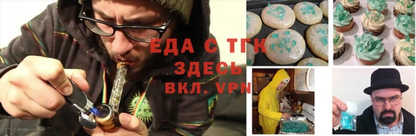 индика Богородск