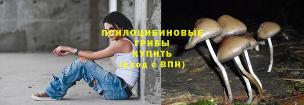 индика Богородск
