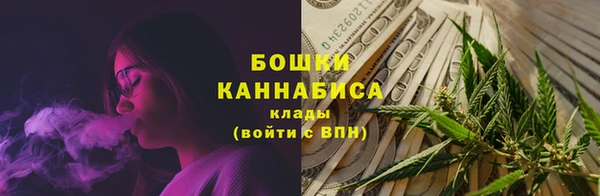 индика Богородск