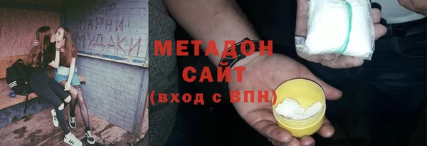 индика Богородск