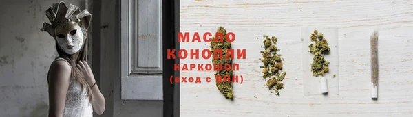 индика Богородск
