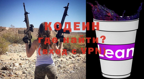 индика Богородск