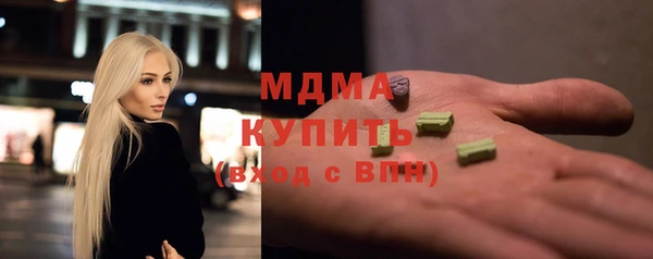 индика Богородск