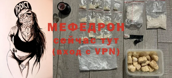 индика Богородск