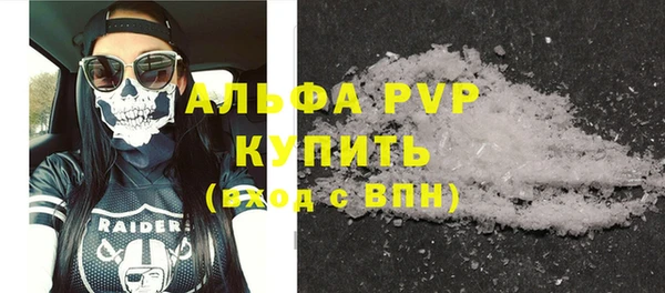 индика Богородск