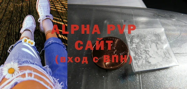 индика Богородск