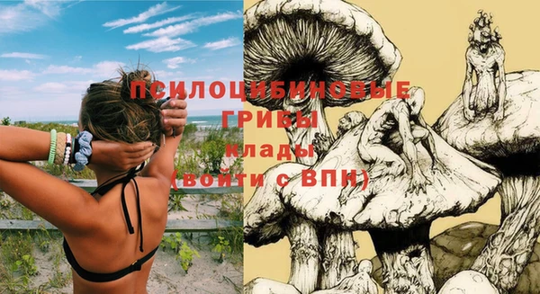 индика Богородск