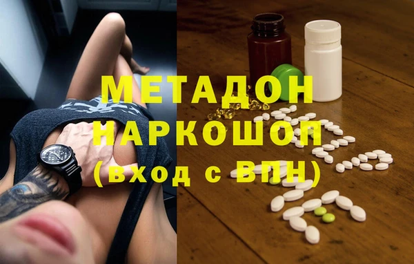 индика Богородск