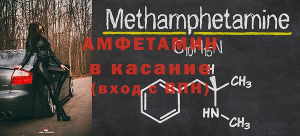 индика Богородск