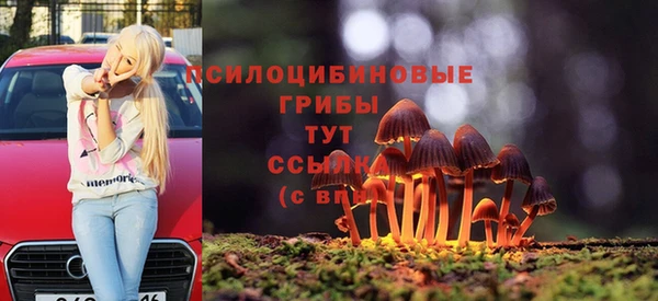 метадон Богородицк
