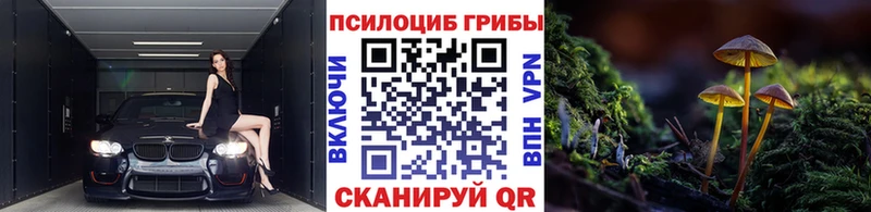 Псилоцибиновые грибы прущие грибы  Мелеуз 